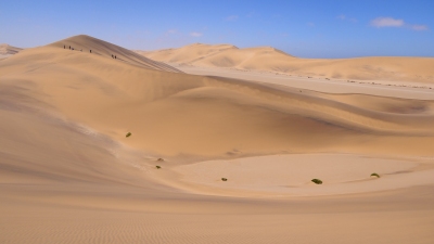 Namib Wüste Namibia (Alexander Mirschel)  Copyright 
Informazioni sulla licenza disponibili sotto 'Prova delle fonti di immagine'